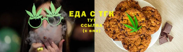 индика Богородск