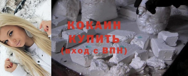тгк Богородицк