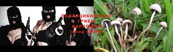 экстази Богданович