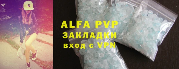 индика Богородск
