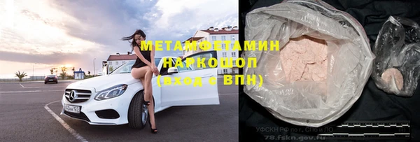 индика Богородск