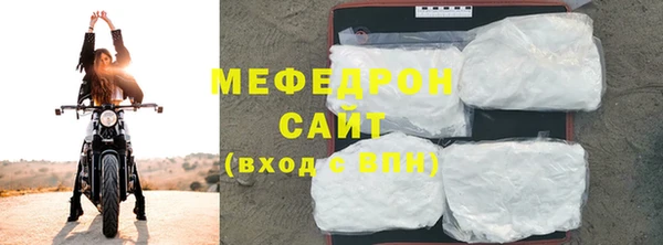 индика Богородск