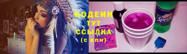 индика Богородск