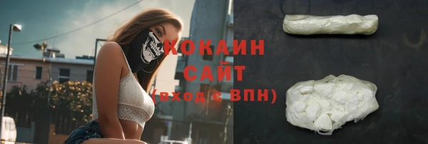 тгк Богородицк