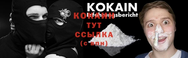 тгк Богородицк