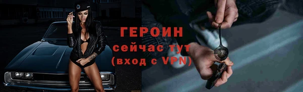 индика Богородск