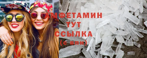 индика Богородск