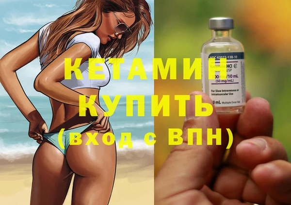 индика Богородск