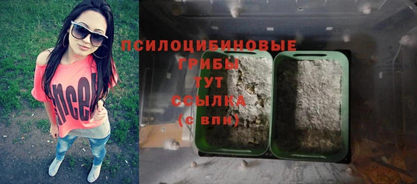 экстази Богданович