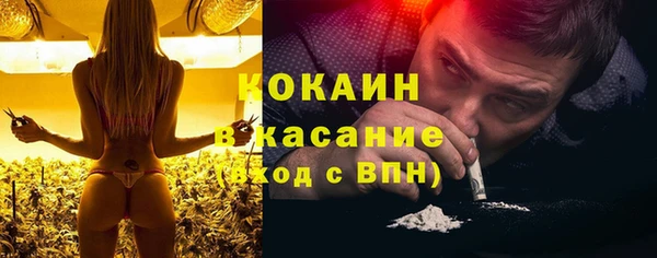 индика Богородск