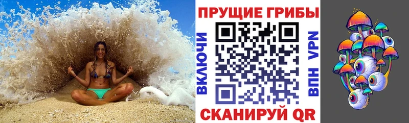 Купить где  Гудермес  Галлюциногенные грибы Psilocybe 
